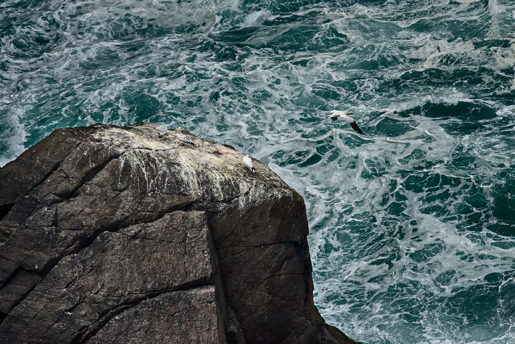 Shetland 283 come oggetto avanzato-1 copia